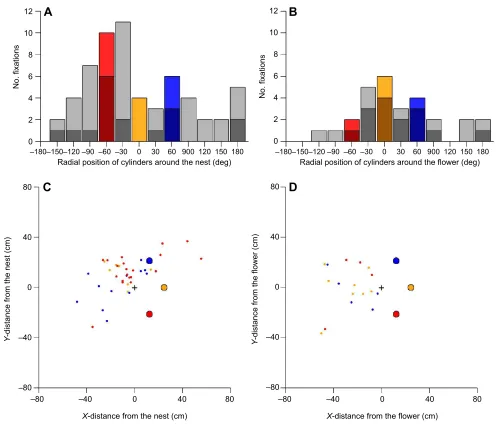 Fig. 8. Fixations relative to real and virtual cylinders during RN1 and RF1. (A,B) Number of cylinder fixations towards real (coloured) and virtual (grey)cylinders during RN1 (A) and RF1 (B)
