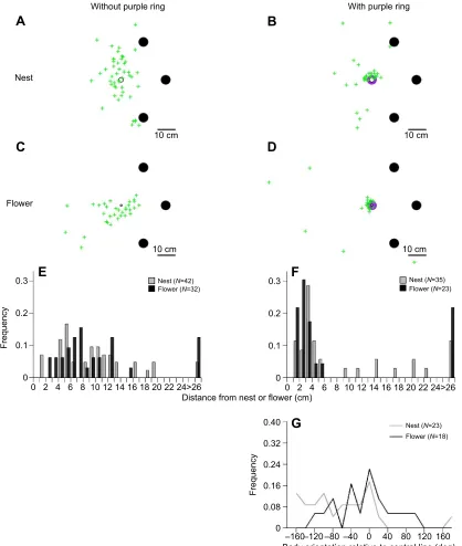 Fig. 10. Positions and orientations of bees during slowdowns with and without ring. (A,B) Positions of the slowdown points (green crosses) during the earlysearch bouts at the nest with (B) and without (A) the ring