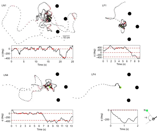 Fig. 1. Top views of the first and fourth learning flights of a single bee at the nest (LN1, LN4) and flower (LF1, LF4)