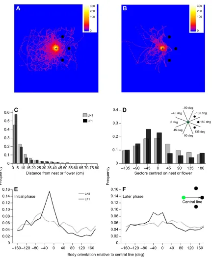Fig. 3. Some spatial and directional parameters of LN1 and LF1. (A,B) Heat maps of the positions of the bees during LN1 (A) and LF1 (B)