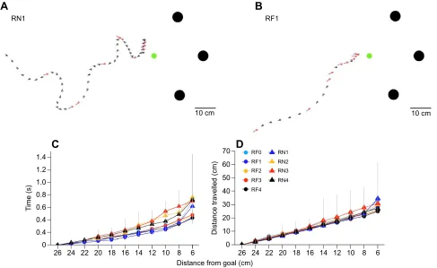 Fig. 6. Some properties of return flights. (A,B) The first return flight of one bee to the nest (RN1) and flower (RF1)