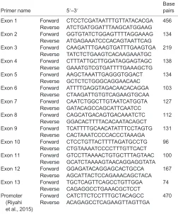 Table 1. Primer sequences for the SERT gene and sequence lengths
