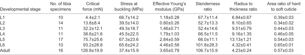 Table 1. Results of mechanical and geometric measurements at each developmental stage