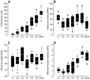 Fig. 2. Data obtained from uniaxialcompression tests on the hindleg tibia at alldevelopment of the insect