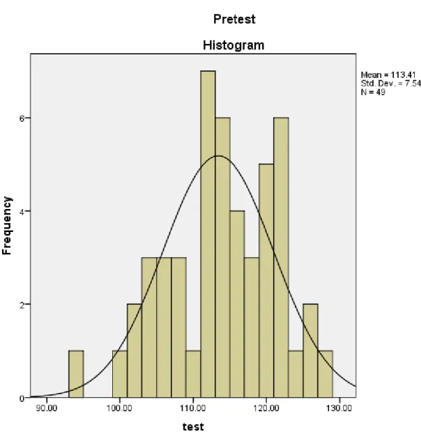 Figure 3. Pretest histogram. 
