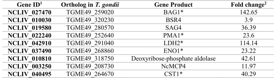 Table 1. Bradyzoite-related genes with higher expression in Nc-Spain1H isolate. 