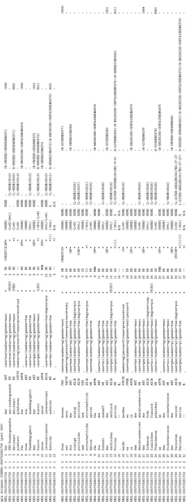 Figure 3: Example of the export format