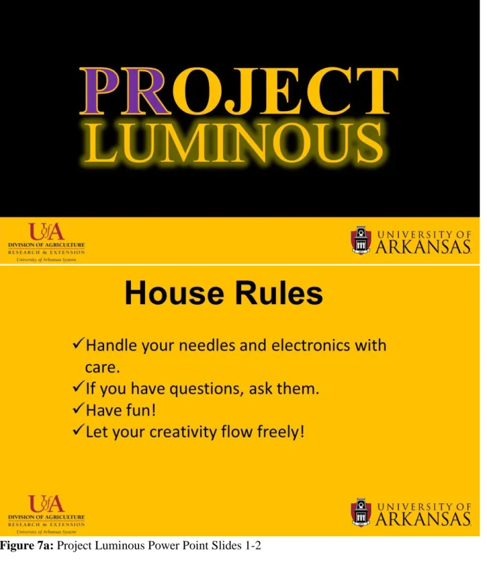 Figure 7a: Project Luminous Power Point Slides 1-2
