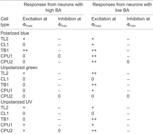 Table 2. Polarization and spatial opponency in CX neurons with low andhigh BA