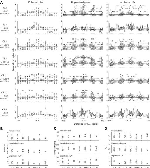 Fig. 5. Tuning curves and tuning characteristics of responses to the plane of polarized blue light and the azimuth of an unpolarized green and UV lightspot.Φ (A) Normalized stimulus–response curves of N responses in n neurons to polarized blue light, unpol