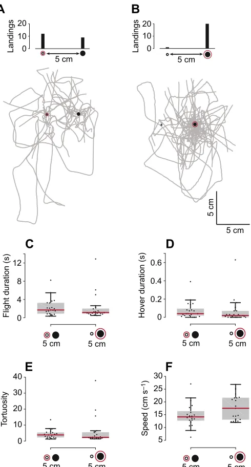 Fig. 11) is robust because it allows the majority of flies to