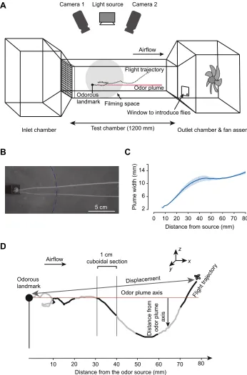 Fig. 1. Experimental setup and flightvariables.approach to an odor source. The trajectoriesare indicated by black and gray lines, eachdepicting flight along 10 mm stretches
