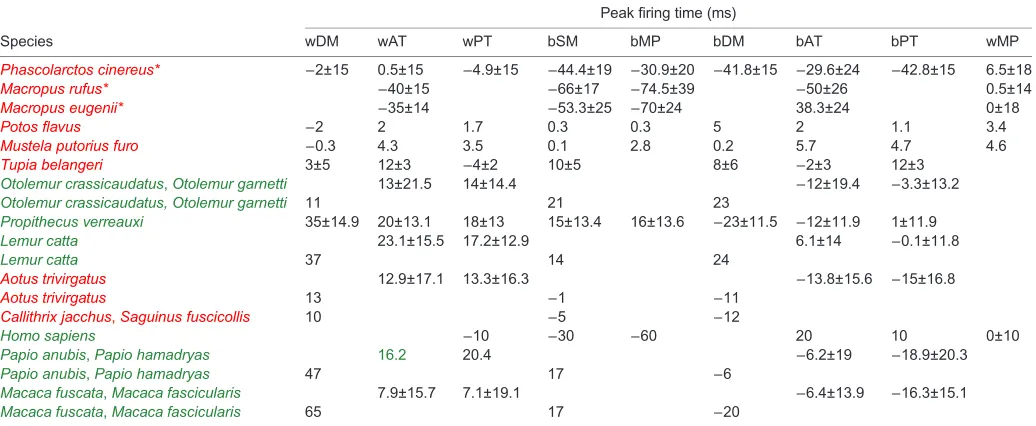 Table 2. Number (N) of masticatory cycles per individual