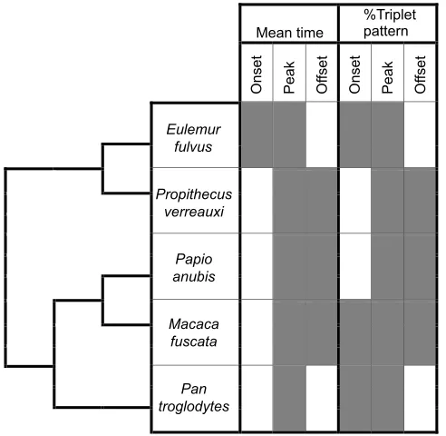 Table 4. Permutations in muscle order at onset, peak and offset