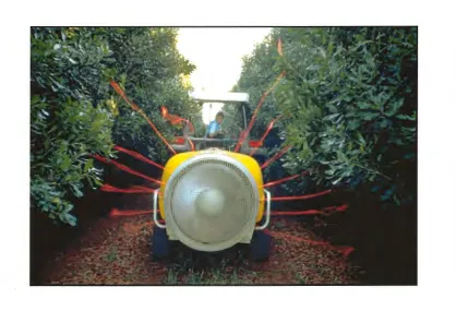 Figure 1. A low profile airblast sprayer shown in a macadamia orchard with no hedging or tree shaping