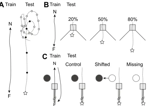 Fig. 1. Experimental configuration for training and test conditions. N,nest; F, feeder