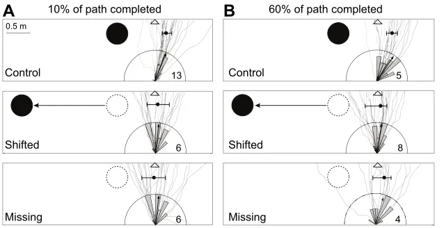 Fig. 4. Interactions between path integration and learnt visual cues. (A) In this setup (see Fig