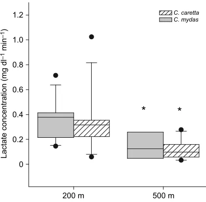 Fig. 2. Median glucose concentrations standardized to minutes of crawltime declined with crawl distance inDunn*Significant difference from 200 m treatment, C