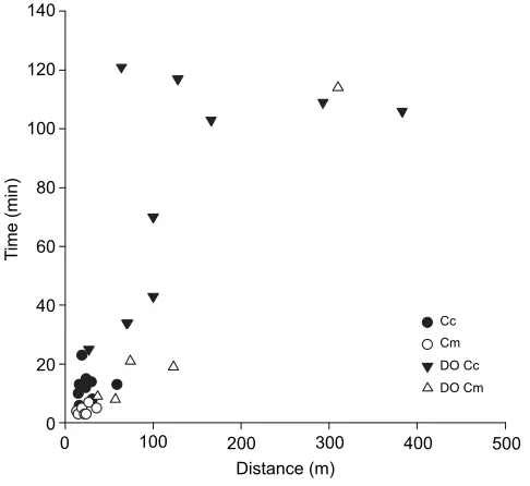 Table 2. Swim performance over 2 h for loggerhead and green sea turtlehatchlings from resting or following treadmill crawling