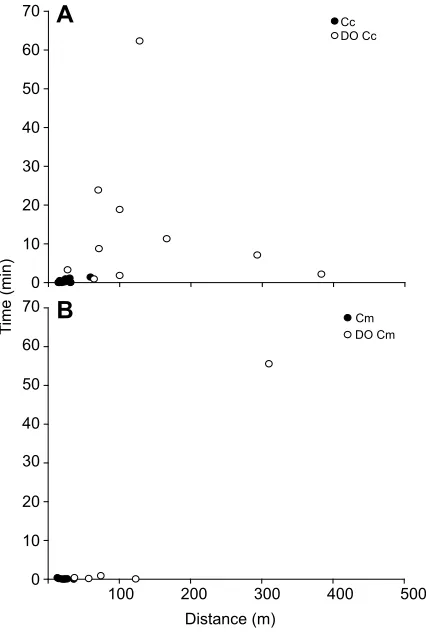 Fig. 5. Time spent resting in relationship to total distance crawled on thebeach for individual loggerhead and green sea turtle hatchlings