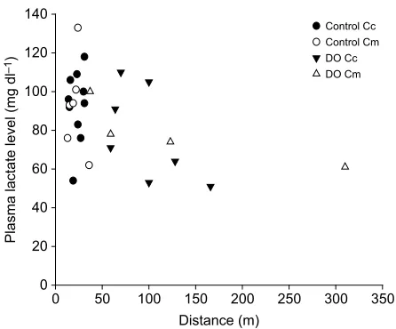 Fig. 7. Plasma lactate levels showed no significant correlation withdistance in either loggerhead or green sea turtle hatchlings crawling onthe beach