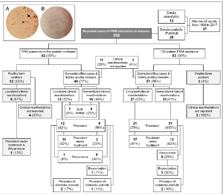 Figure 1 Characteristics of the cases of human infestation with the poultry red mite (PRM; D
