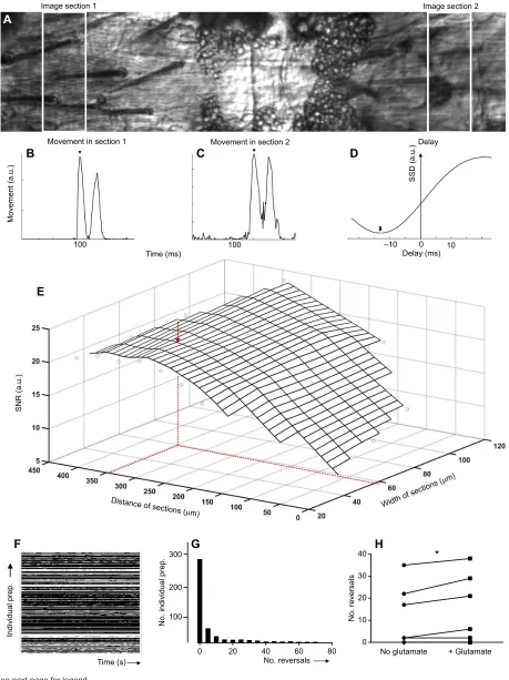Fig. 2. See next page for legend.