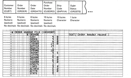 Figure 3. DDS for a Physical File 
