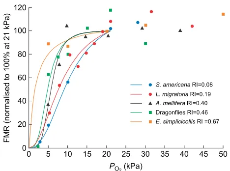 Fig. 2. Flight metabolic rate in relation to ambient P(species includingfrom figures or tables in the literature and normalised as a percentage of thevalue calculated by regression atstudy and previous work (Harrison and Lighton, 1998; Henry and Harrison,2