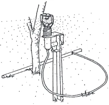 Figure 10.  Minisprinkler watering system for young trees