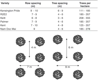 Table 1.  Suitable plant spacings for some mango varieties