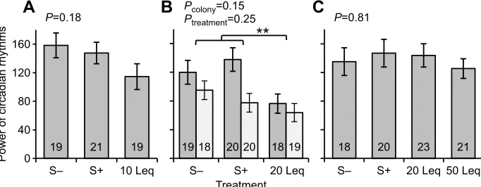 Table 1). The effects of BEP concentration and food type on the