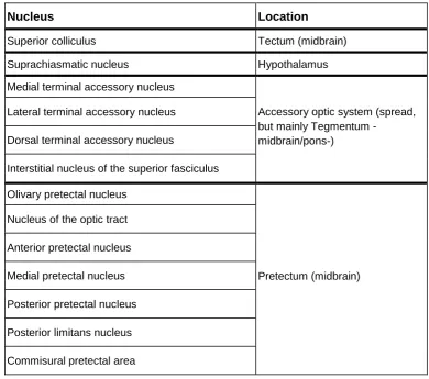 Table 3. First order (i.e., receiving direct retinal inputs) non-thalamic nuclei in the human brain.