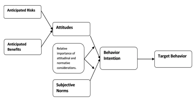 Figure 1. Theory or Reasoned Action 