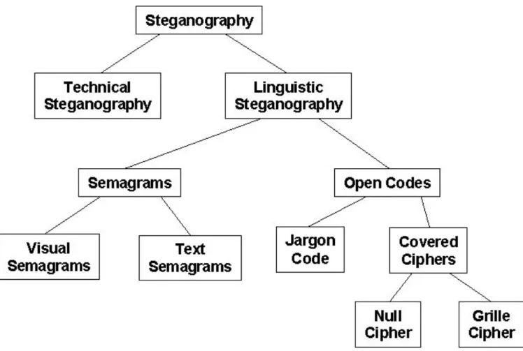 Figure 1. Classification of Steganography Techniques (Adapted from Bauer 2002).
