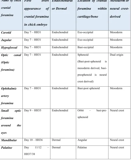 Table 1 Location and stages of development of key cranial foramina in the chick embryo
