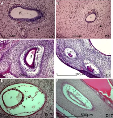 Figure 3  A B 