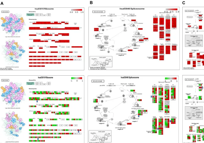 Fig 5. Preprints (www.preprints.org)  |  NOT PEER-REVIEWED  |  Posted: 17 June 2020                   