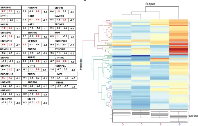 Fig 7. Preprints (www.preprints.org)  |  NOT PEER-REVIEWED  |  Posted: 17 June 2020                   