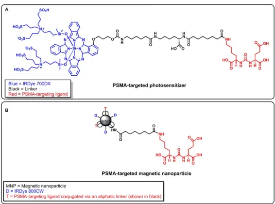 Figure 1. A) Structure of a PSMA-targeted photosensitizer YC-9. B) Structure of a PSMA-targeted magnetic nanoparticle (MNP)