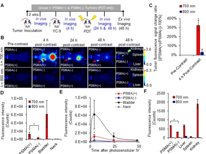 Figure 2. In vivo fluorescence image-guided PDT. A) Schematic representing the experimental design for Group 1 mice