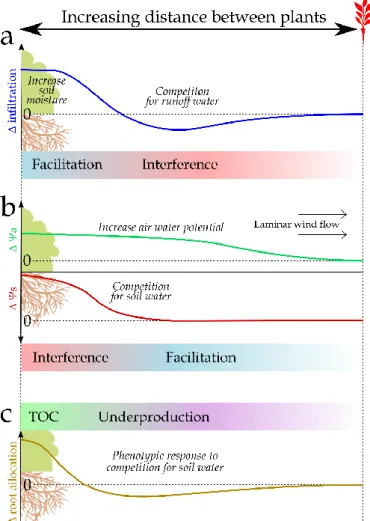 Figure 7: Schematic of how the distance between plants is an essential driver of certain  interaction mechanisms