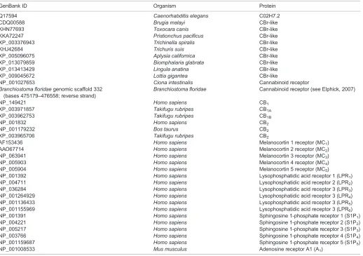 Table 1. GenBank accession numbers of G-protein-coupled receptors used for phylogenetic analysis