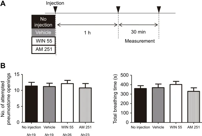Fig. 3. Effects of a mammalian CBr agonist,WIN 55, and antagonist, AM 251, on aerialsnails)