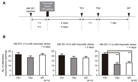 Fig. 6. AM 251 mitigates the severity of the effect of the traumatic stressor on learning and LTM formation
