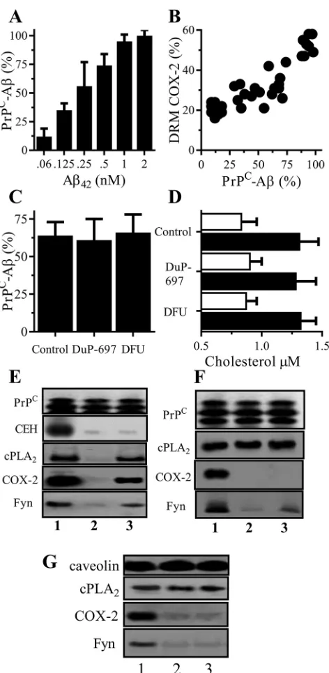 Fig. 4. CEH inhibitors blocked the Aβbrain extract or (3) AD brain extract containing 1 nM Awith AD brain extract containing Ameans±s.d