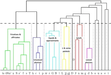 Figure 1: Dendrogram of the phoneme clusters 