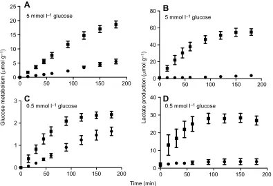 Fig. 5. Glucose metabolism and lactate production by isolated hearts from rainbow trout under normoxic or hypoxic conditions