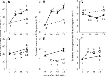 Fig. 1. Summed enzyme activities of maltase, sucrase and aminopeptidase-N of 6- to 9-day-old nestling house sparrows 0, 24, 48 and 72 h after a dietswitch.groups only fed the HP diet, and triangles and solid lines indicate groups switched to the HC diet an