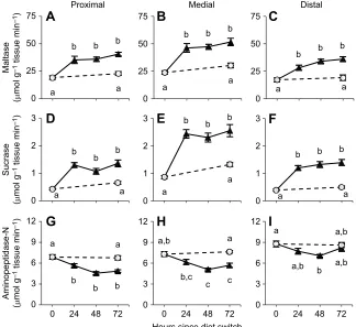 Fig. 3. Mass-specific enzyme activities in eachintestinal position in 6- to 9-day-old nestling houseexpressed per gram wet tissue in three intestinalpositions: proximal, medial and distal